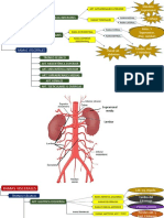 Ramas Colaterales - AORTA ABDOMINAL Aline-2