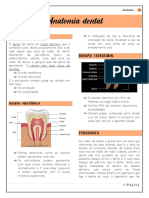 Anatomia Dental