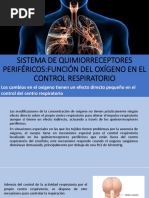 ReGuLaCiOn de La ReSpIrAcIoN