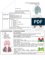 Pulmones: Configuración Externa Configuración Interna Cara Mediastínica