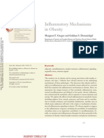 Inflammatory Mechanisms in Obesity