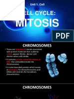 Cell Cycle