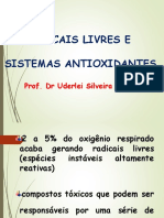 02 - Radicais Livres