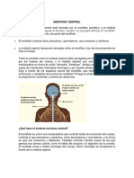 Nervioso Central