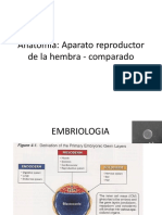 Anatomia Comparada, Sist. Reproduct. Hembra