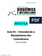 Apostila Aula 01 - Metabolismo Dos Carboidratos