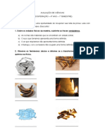 Avaliação de Ciências - Rec 1B