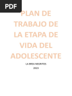 Plan de Trabajo de La Etapa de Vida Del Adolescente