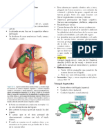 Patologia Biliar