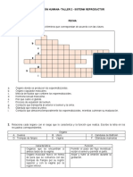 Taller Reproduccion Humana-2