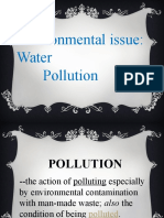 Environmental Issue: Water Pollution