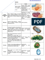 08-Organelos Celulares (Clase Virtual)