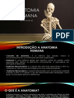 Anatomia Humana....