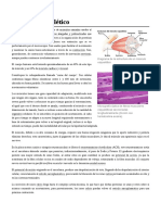 U1 PP 16 Sistema Muscoesquelético