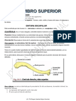 Cintura Escapular: Clavícula