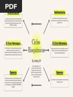 Ciclos Bioquimicos