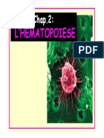 Cours2 Hematopoiese