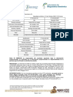 Prueba de Paternidad P1122-243