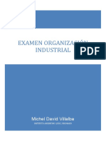 Examen Organizacion Industrial: Michel David Villalba