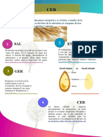 Infografia 1