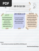 Mapa Conceptual NOM-194 - Manuel Brambila