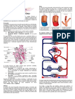 Anatomia 