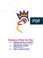 Business Plan Hachery