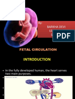 Fetalcirculation