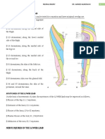 Nerve Injury - Lower Limb