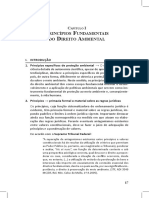 Principios Fundamentais Do Direito Ambiental