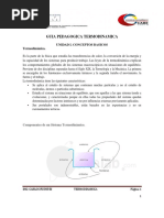 Guia Pedagógica Conceptos Básicos