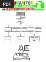 Los Alimentos y La Piramide Alimenticia para Segundo Grado de Primaria