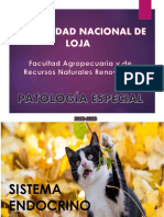 Sistema Endocrino