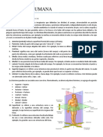 Anatomía Humana