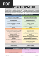 Les Différentes Facettes de La Psychopathie