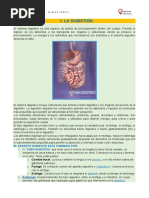 Nutricion Digestion