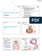 Respiratory System 1