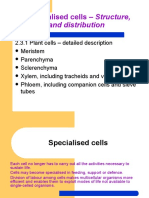 2.3.1 Plant Cells