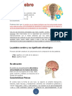 Texto Cerebro