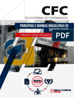 Principios e Normas Brasileiras de Contabilidade PDF