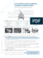 FT - Función de Nutrición, Aparato Respiratorio, Sistema Circulatorio y Aparato Excretor