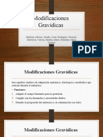 Modificaciones Gravidicas Final