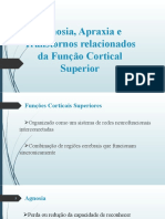 1 Seminário - Funções Corticais Superiores