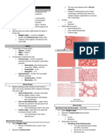 (Transes) Human Histology - 12 Peripheral Blood