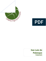 Sig-Municipales San Luis de Palenque - Casanare