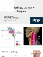 Hipofaringe, Laringe y Traquea