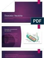 Domínio Bacteria Powerpoint