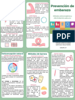 Prevenciã N Del Embarazo PDF