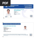 Carnet Del Registrado - Ig2 - Jorge Huashuayo Misagel