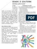 Identidade e Cultura PDF